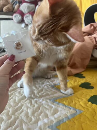 Newcomer Experience Version | Special Offer Necklace photo review