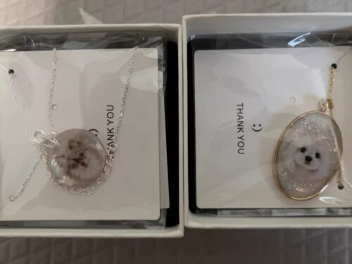 Newcomer Experience Version | Special Offer Necklace photo review